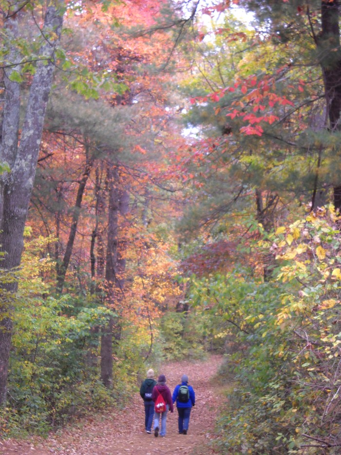 Shenandoah 109 Shenandoah 109