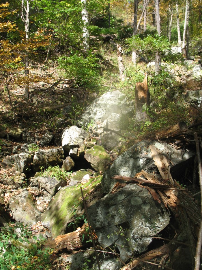 Shenandoah 146 Shenandoah 146